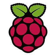 logo raspberry